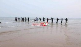 爆料秦皇岛新闻